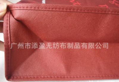 定做生产各款式无纺布手提袋图片_高清图_细节图-广州市添盈无纺布制品 -